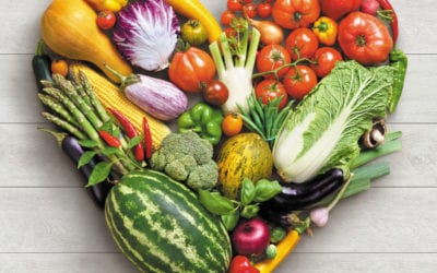 Whole Food Plant-Based Diet: A Beginner’s Guide and Information 
