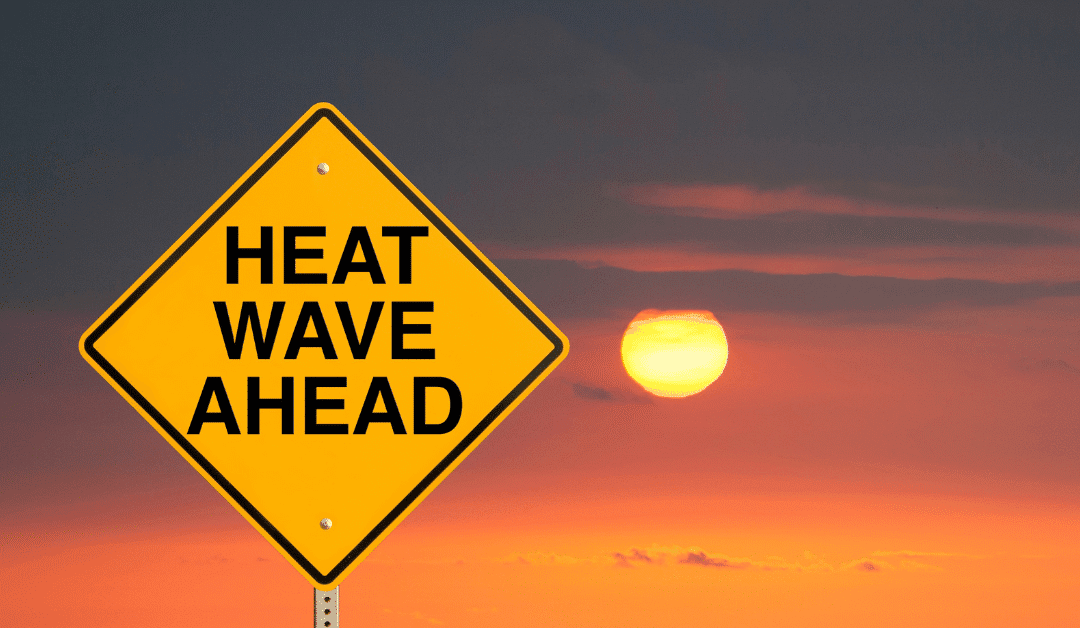 Staying Cool in the South Carolina Heat