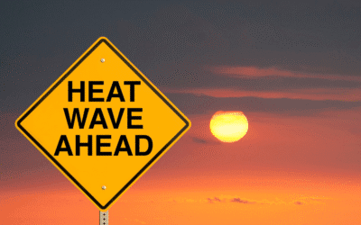 Staying Cool in the South Carolina Heat
