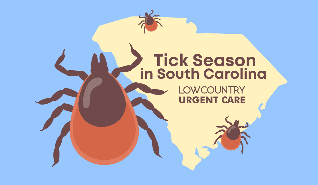 Tick Season in South Carolina