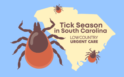 Tick Season in South Carolina